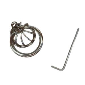 Metal Nub Chastity Cage and 45mm Ring