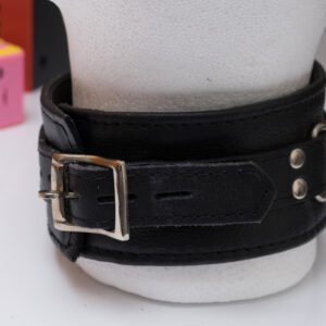 Leather Locking Bondage Collar